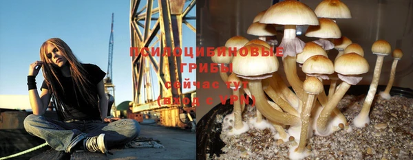 a pvp Богданович