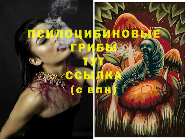 a pvp Богданович